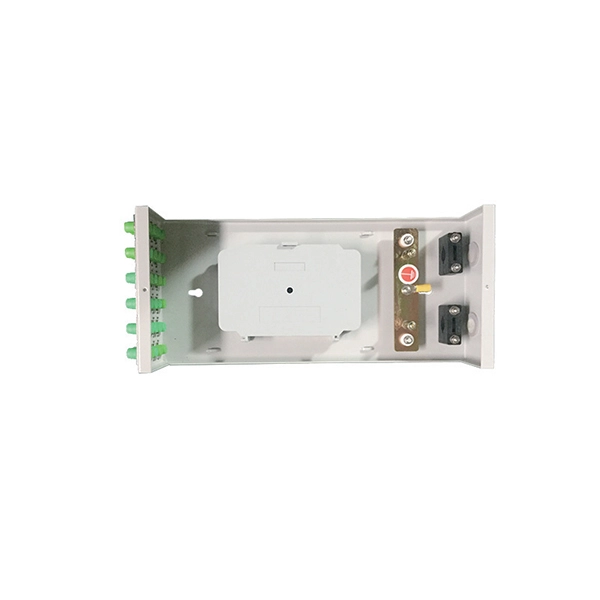 Installation of CFP2100G in Fiji