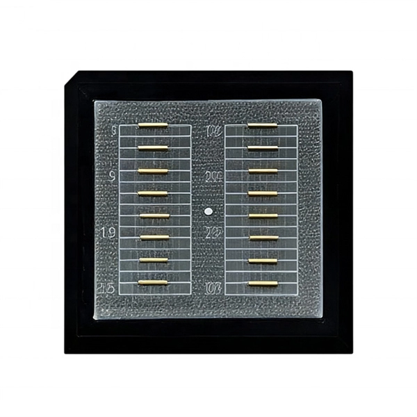 Optical module 1000 km