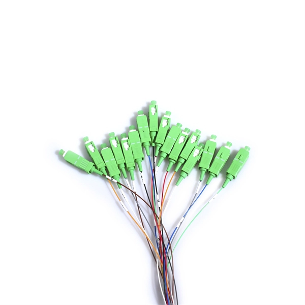 How much does it cost to open a pigtail processing plant 