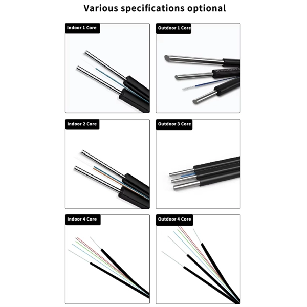 Optical Module Sector Trends