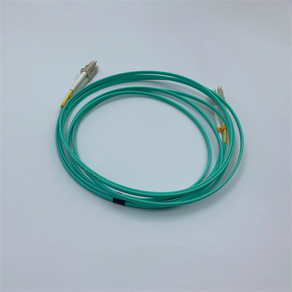 Should the fiber optic module be placed inside the switch 