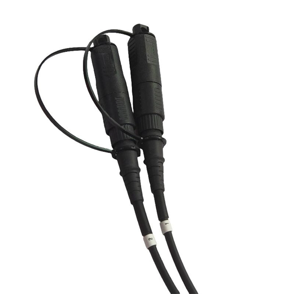 Router s fiber optic cables and optical indicator lights