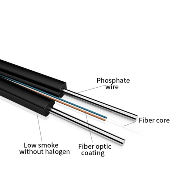 Dual-link fiber optic adapter
